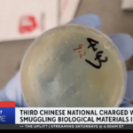 pathogen smuggled by Chinese citizen